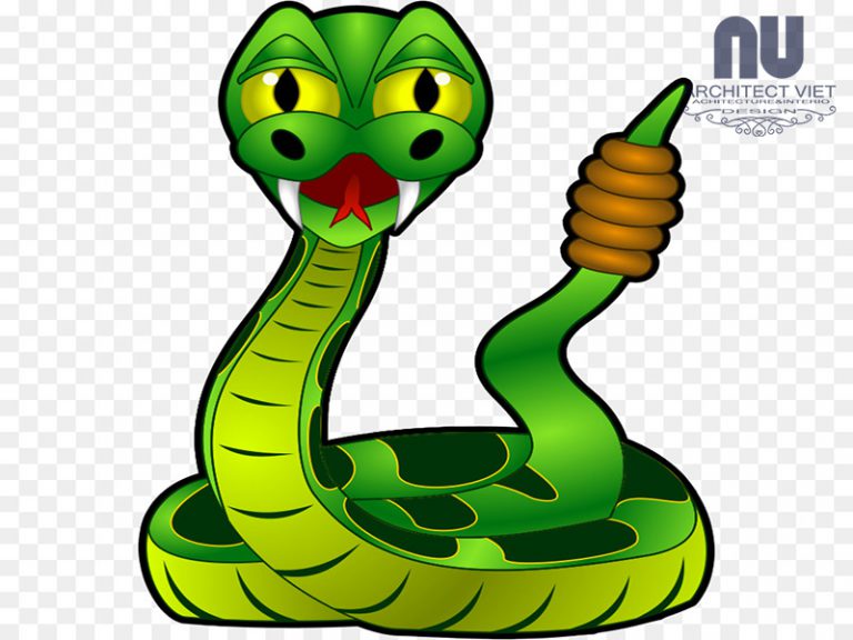 Snake class. Snake class