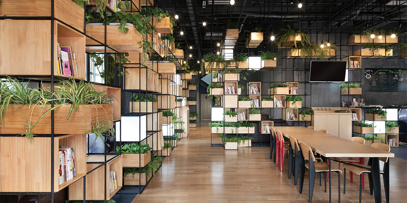Thiết kế quán cafe Thiết kế quán cafe