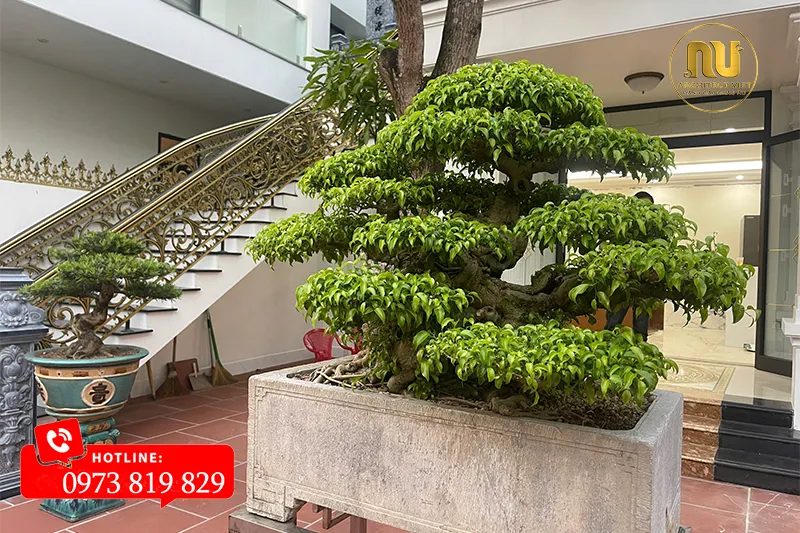 Mẫu Nhà Thờ 3 Gian Giả Gỗ – Lưu Giữ Nét Đẹp Truyền Thống