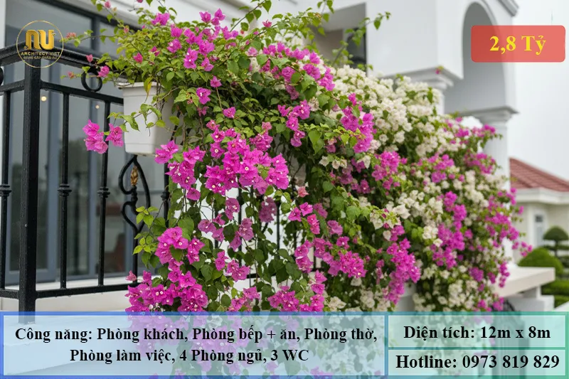 Mẫu Nhà Ngang 12m Sâu 8m 3 Tầng