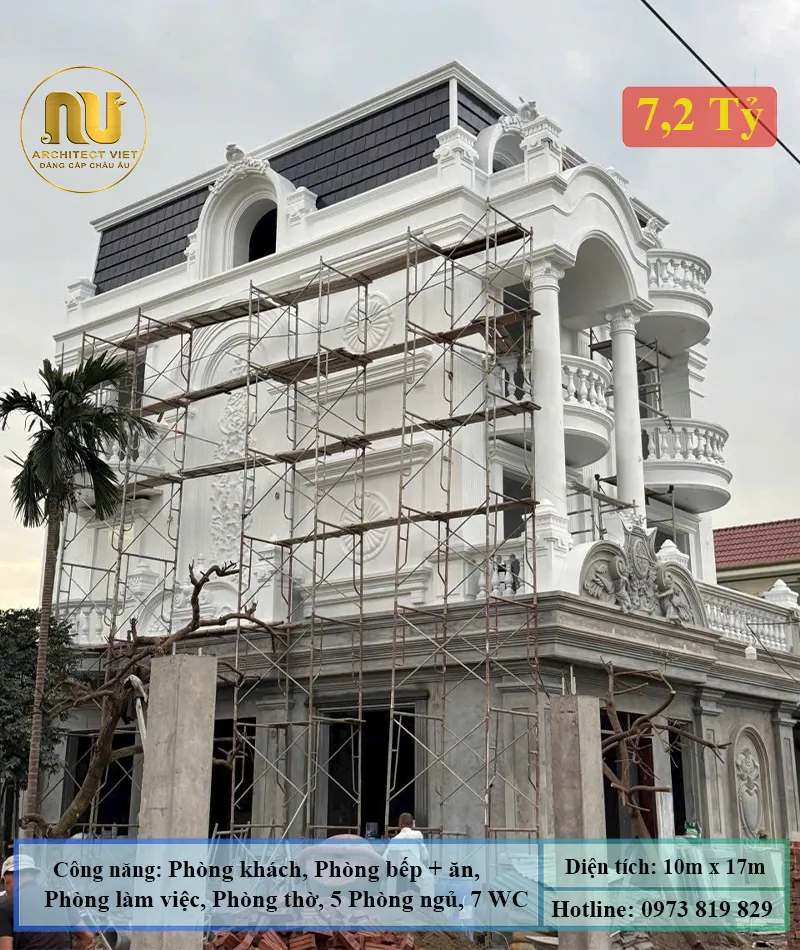 Mẫu biệt thự mặt tiền 10m