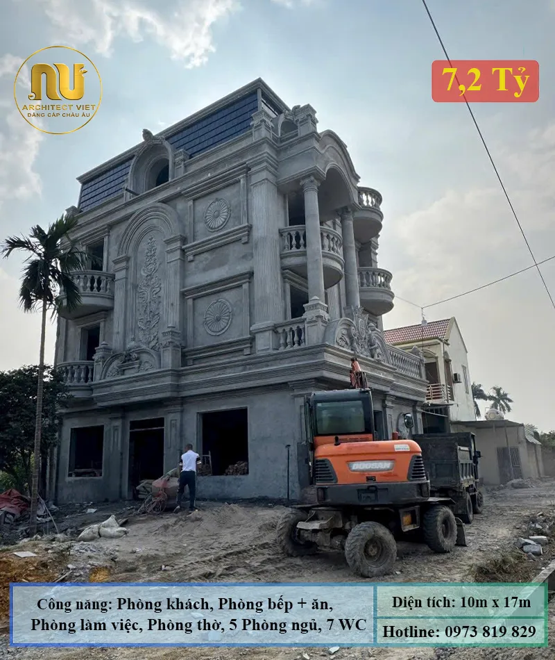 Mẫu biệt thự mặt tiền 10m