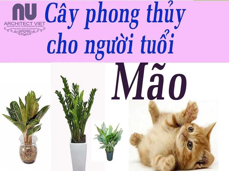 bố trí cây cảnh cho người tuổi Mão hợp phong thủy