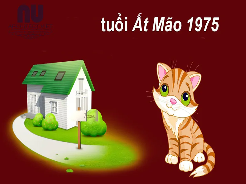 bố trí hướng nhà tuổi Mão hợp phong thủy