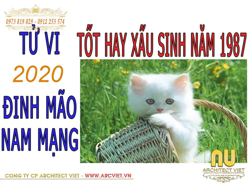 tử vi 2020 tuổi mèo