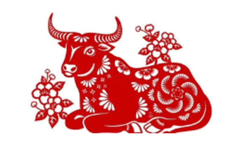Tuổi 2009 Hợp Hướng Nhà Nào?